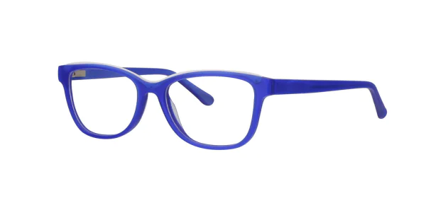 Oprawa okularowa PREMIUM VISION 4452C4