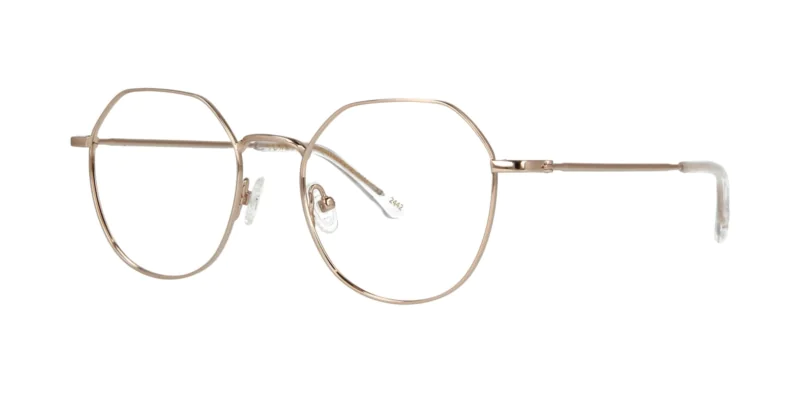 Oprawa okularowa TONNY Titanium 258C1