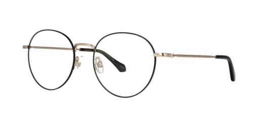 Oprawa okularowa TONNY Titanium 250C2