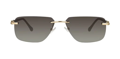 Okulary przeciwsłoneczne TONNY 44052C1