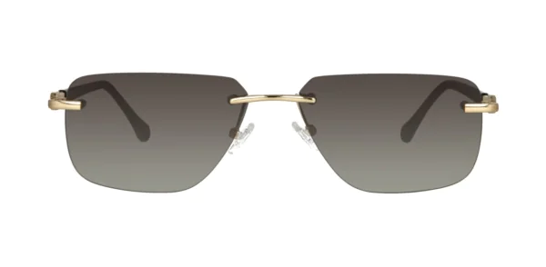 Okulary przeciwsłoneczne TONNY 44052C1