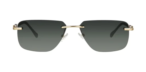 Okulary przeciwsłoneczne TONNY 44052C2