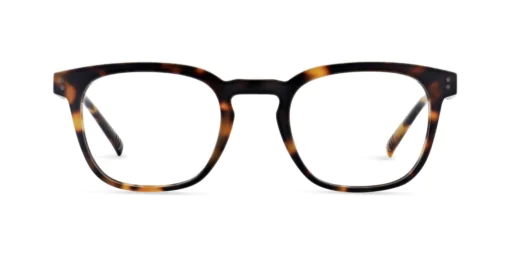 Oprawa okularowa MOREL 40353N ACIER 1 TN03