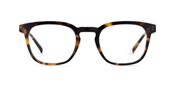 Oprawa okularowa MOREL 40353N ACIER 1 TN03