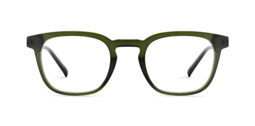 Oprawa okularowa MOREL 40353N ACIER 1 VG02