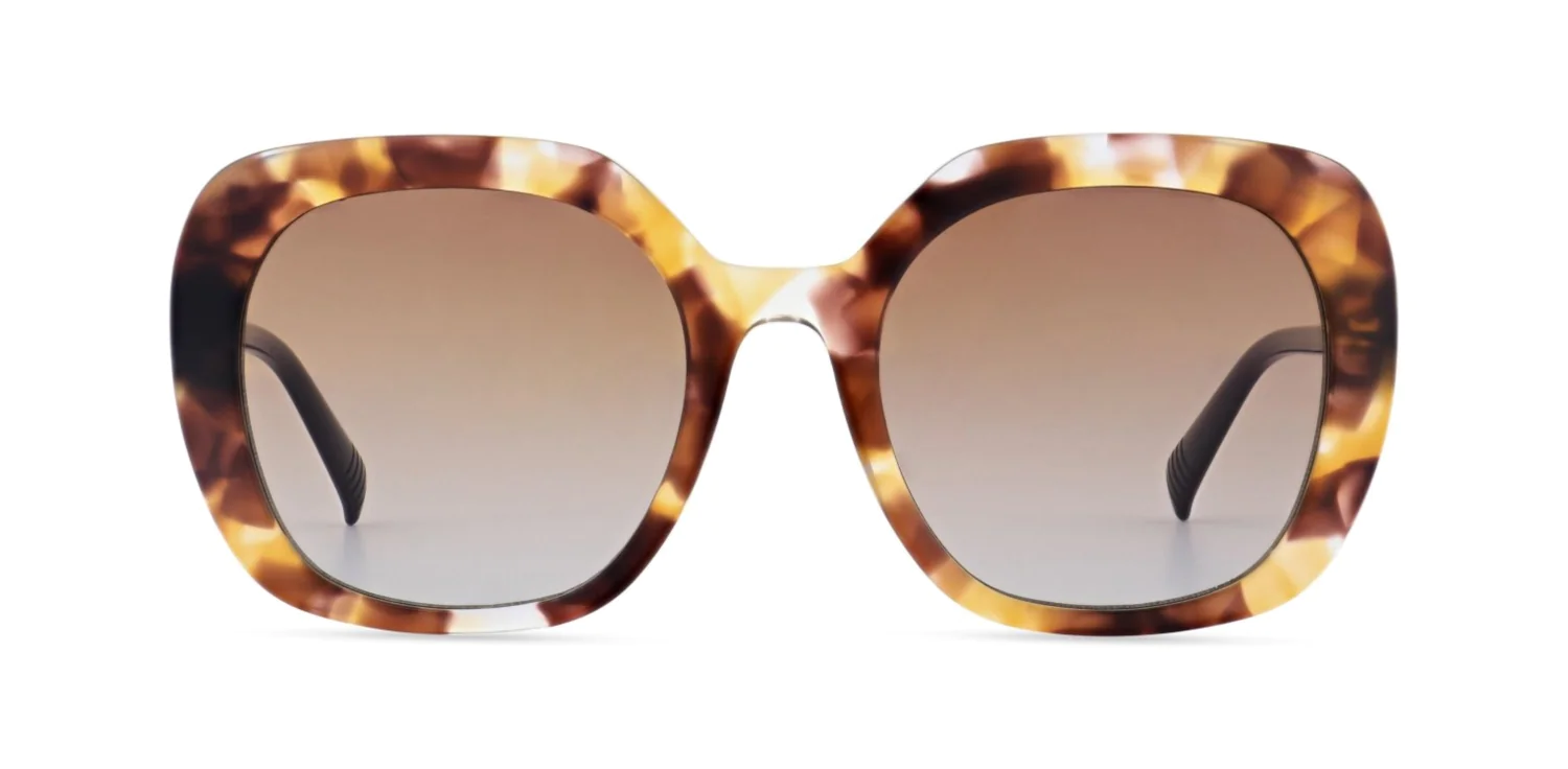 Okulary przeciwsłoneczne MOREL 80172A ZAFORA 4 TP11