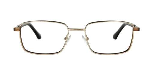 Oprawa okularowa TONNY Titanium 2103C1