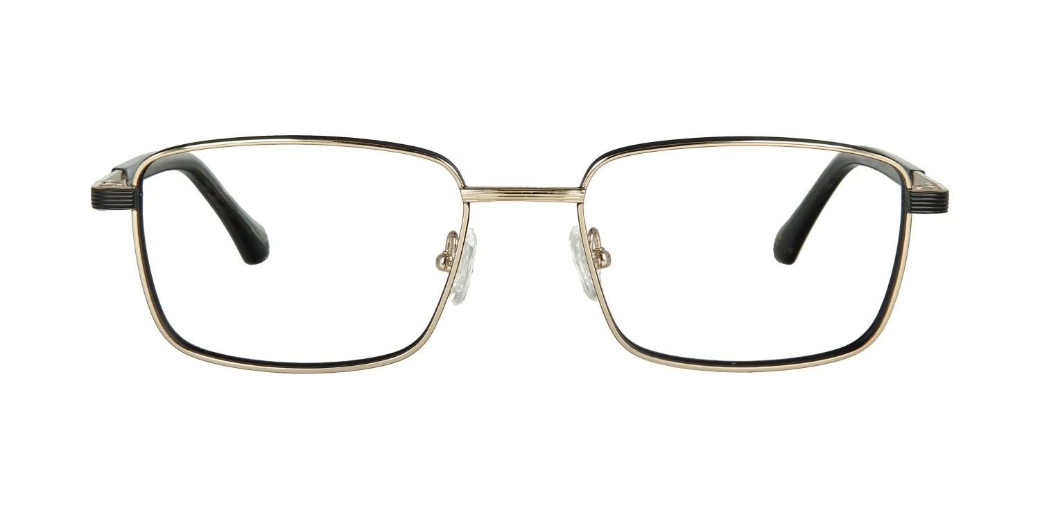 Oprawa okularowa TONNY Titanium 2103C2