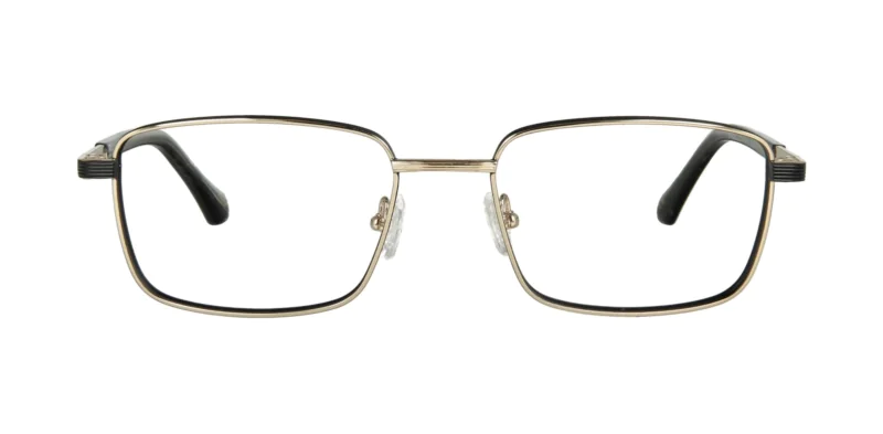 Oprawa okularowa TONNY Titanium 2103C2