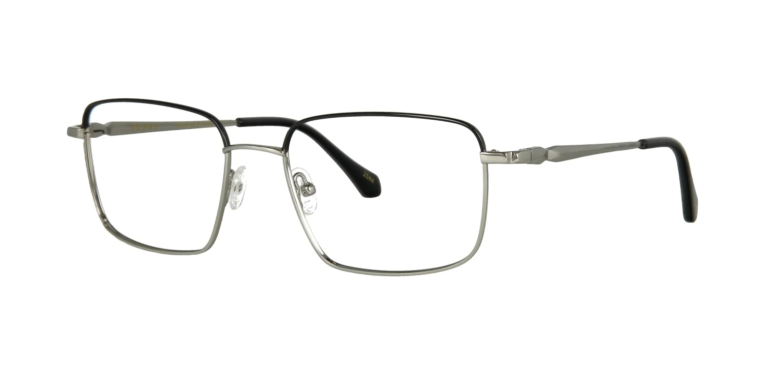Oprawa okularowa TONNY Titanium 288C2