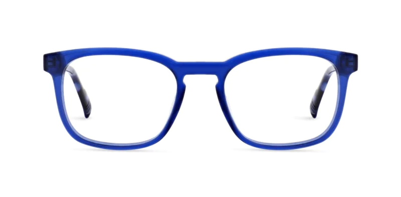 Oprawa okularowa MOREL 40309N SEPIA 3 BG07