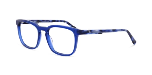 Oprawa okularowa MOREL 40309N SEPIA 3 BG07