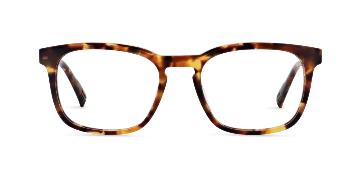 Oprawa okularowa MOREL 40309N SEPIA 3 TV09