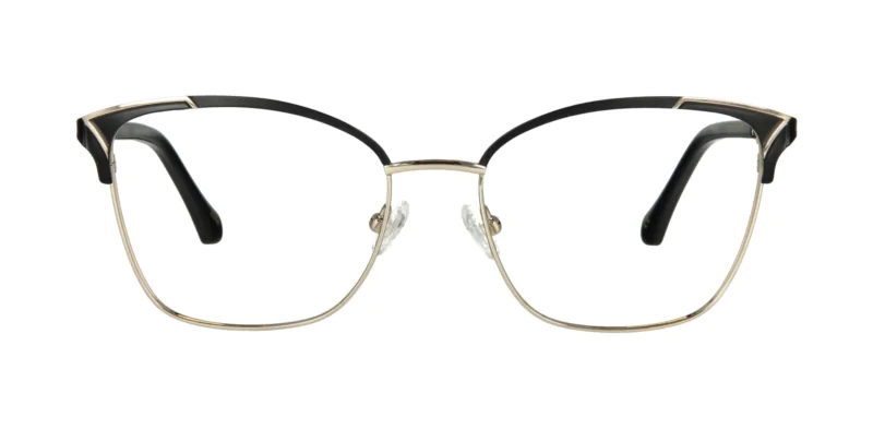 Oprawa okularowa TONNY Titanium 299C1