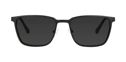 Nakładka przeciwsłoneczna TONNY 0173C2