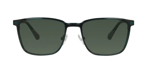 Nakładka przeciwsłoneczna TONNY 0173C4