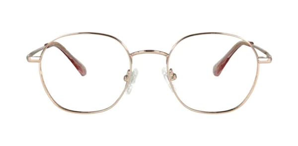 Oprawa okularowa TONNY Titanium 2109C1