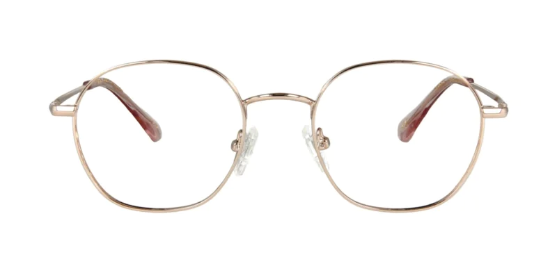 Oprawa okularowa TONNY Titanium 2109C1