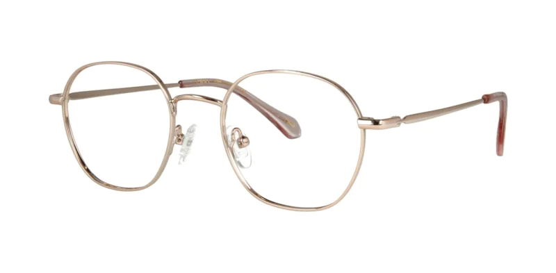 Oprawa okularowa TONNY Titanium 2109C1