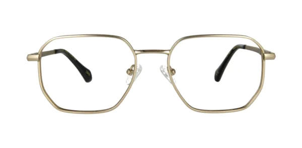 Oprawa okularowa TONNY Titanium 2113AC3