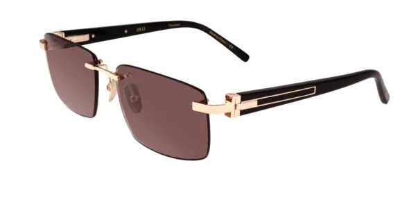 Okulary przeciwsłoneczne ZILLI 65133C02